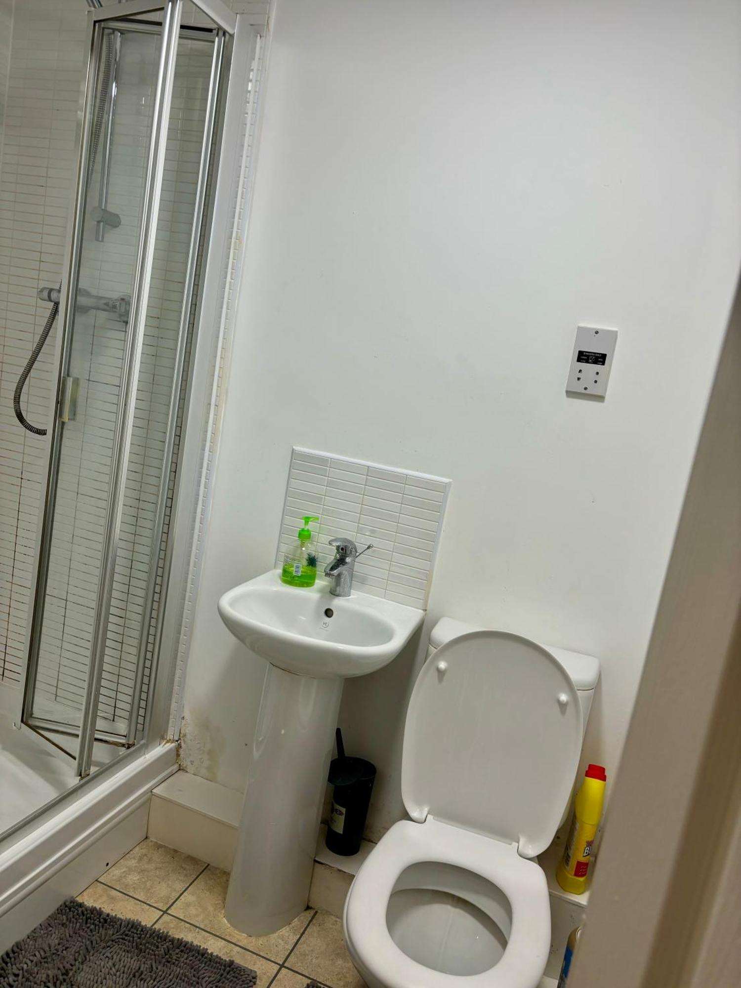 The Flat Apartment